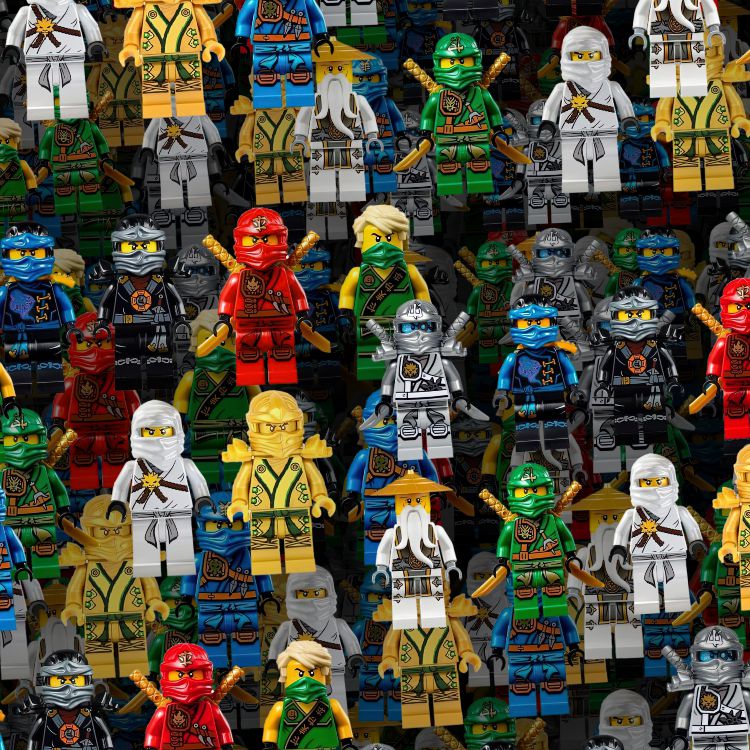 Ninjago Lego Characters 24