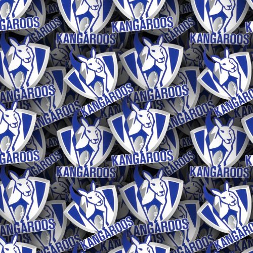 North Melbourne FC 22