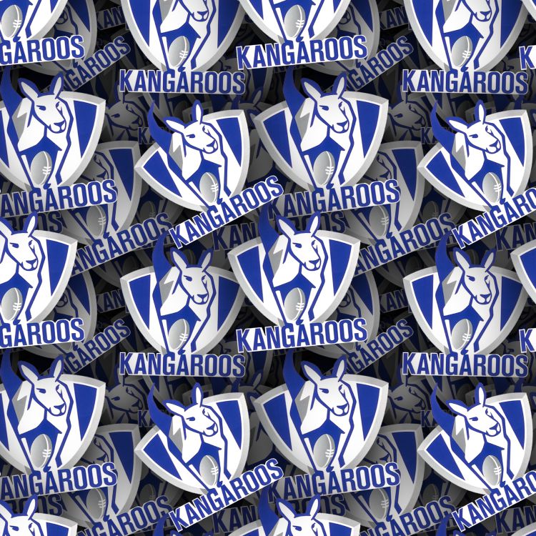 North Melbourne FC 22