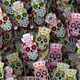 Nurse-Sugar-Skulls-23