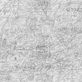 Old-Country-Map.jpg