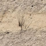 Old-Dirt-Road-43