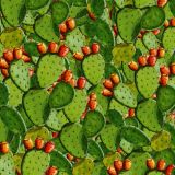 Opuntia-Cactus-22-thumb