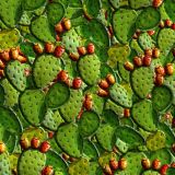 Opuntia-Cactus-23-thumb