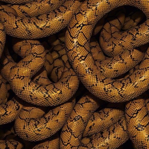 Orange Snake
