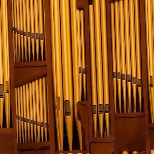 Organ Pipes
