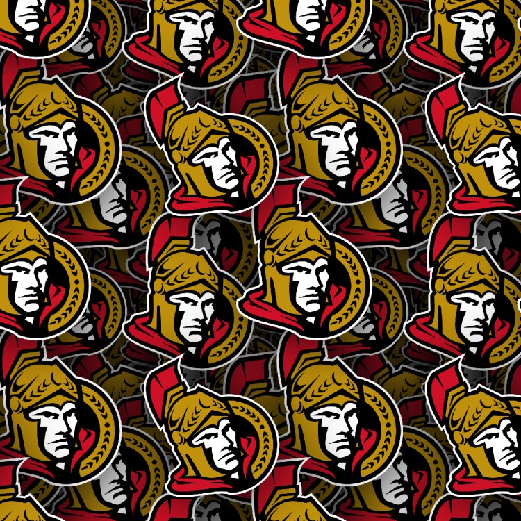 Ottawa Senators 22