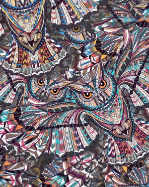 Owls 22