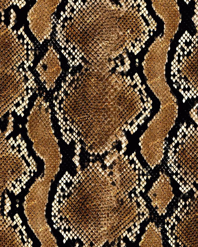 Pacific Python Snake Skin