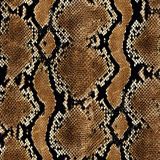 Pacific-Python-Snake-Skin-2.jpg