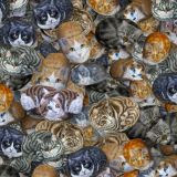 Painted-Cat-Rocks-thumb.jpg
