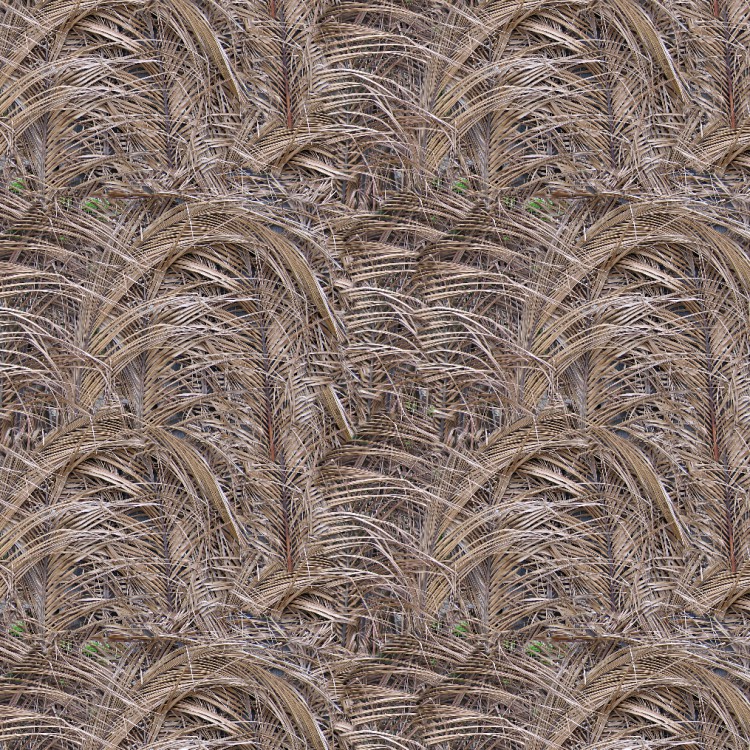 Palm Fronds