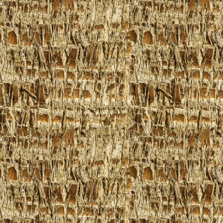 Palm Tree Bark 23