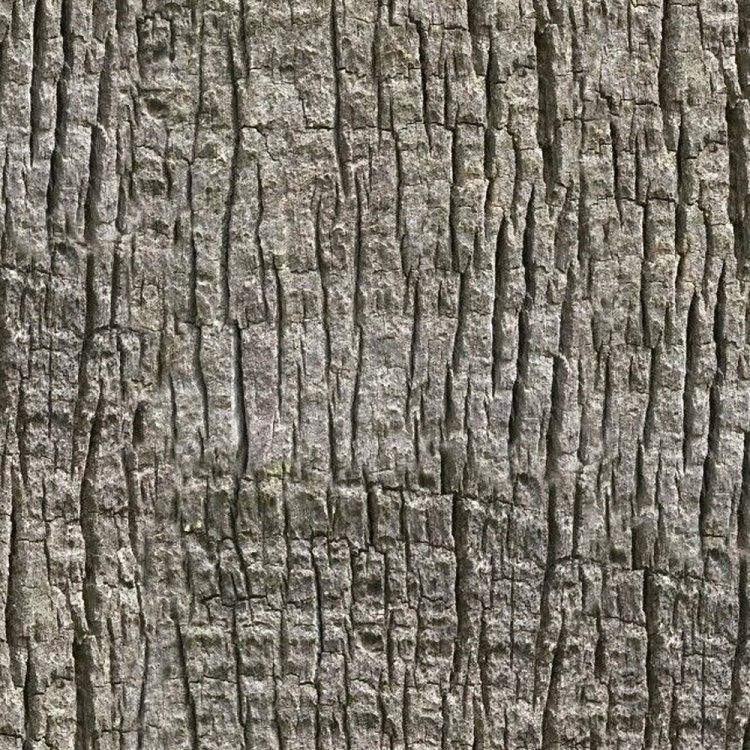 Palm Tree Bark 24