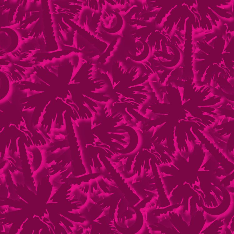 Palmetto Moon 26