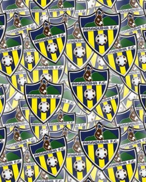 Pasaquin FC