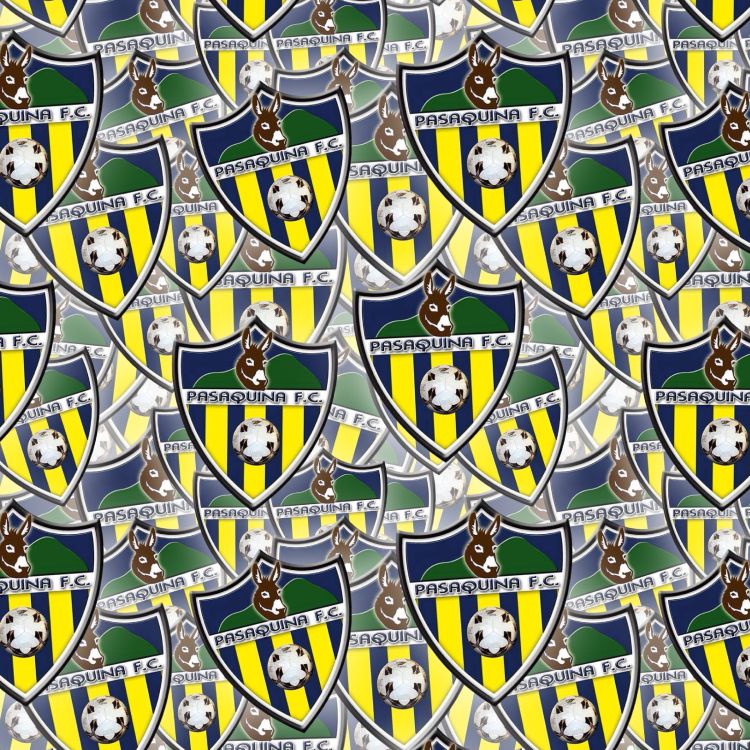 Pasaquin FC