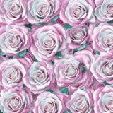 Pastel-Roses