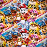 Paw-Patrol-23-1