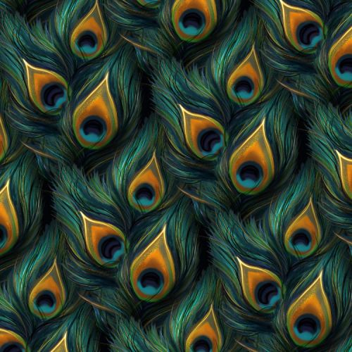Peacock Feathers 26