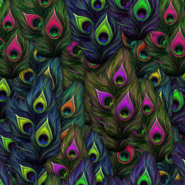 Peacock Feathers 25