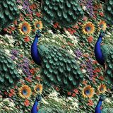 Peacock-Flower-Garden