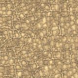 Peanut-Shell-Skin-23