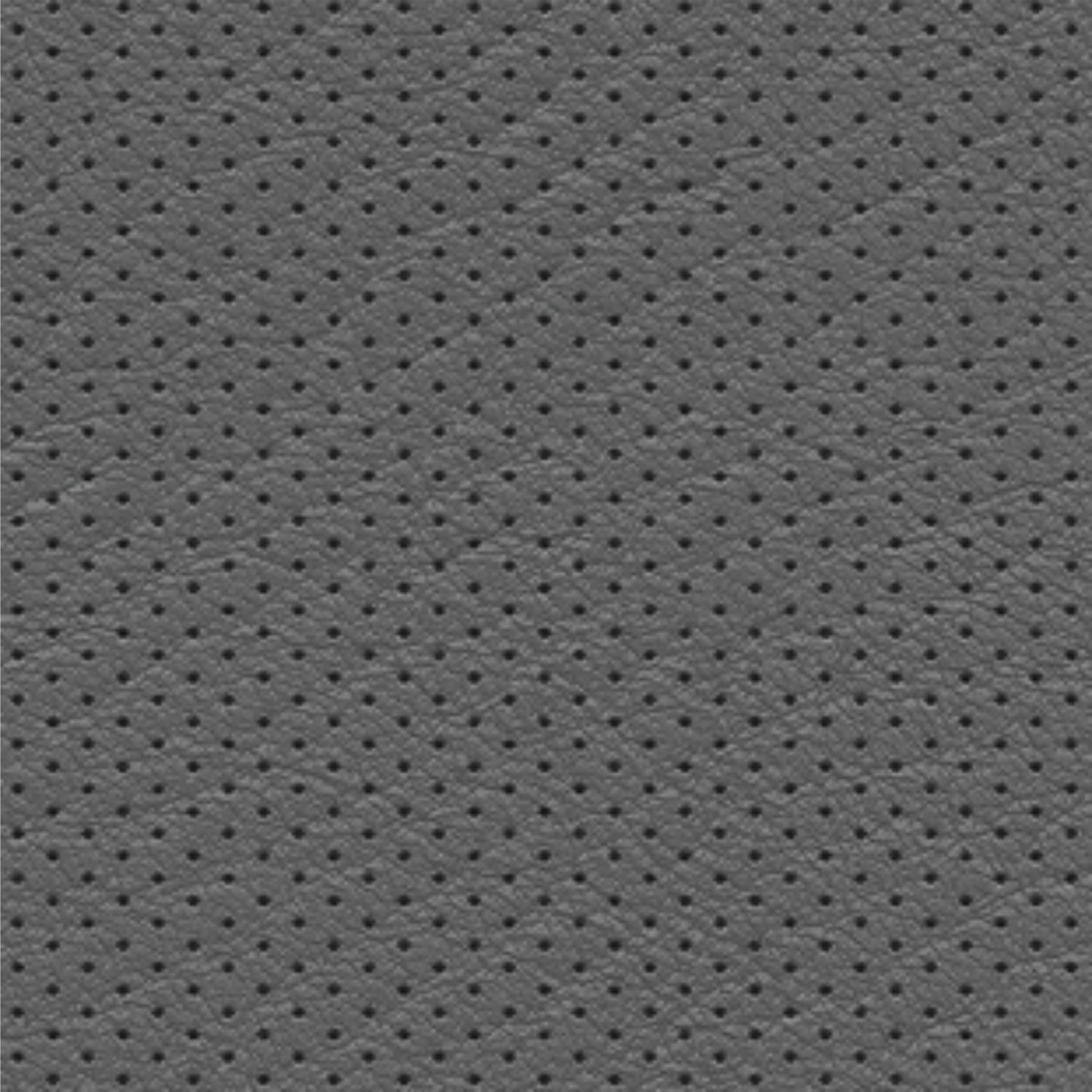 Perforated Leather 22