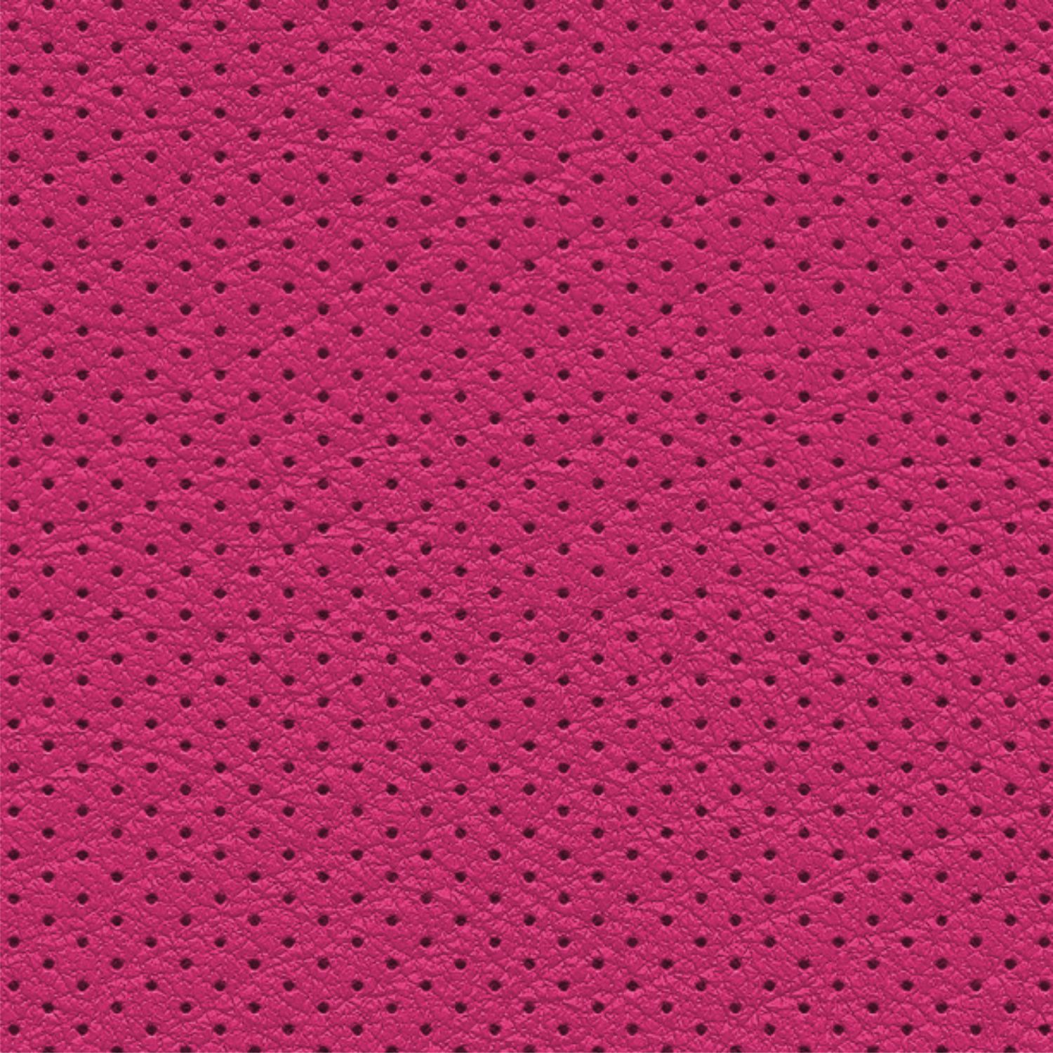 Perforated Leather 25