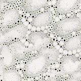 Petri-Dish-22.jpg