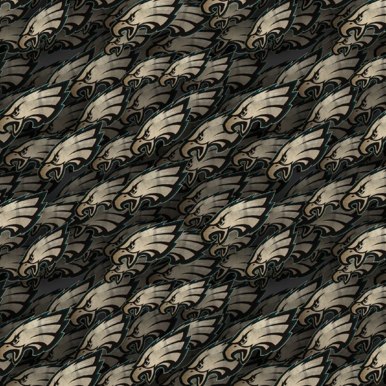 Philadelphia Eagles 23
