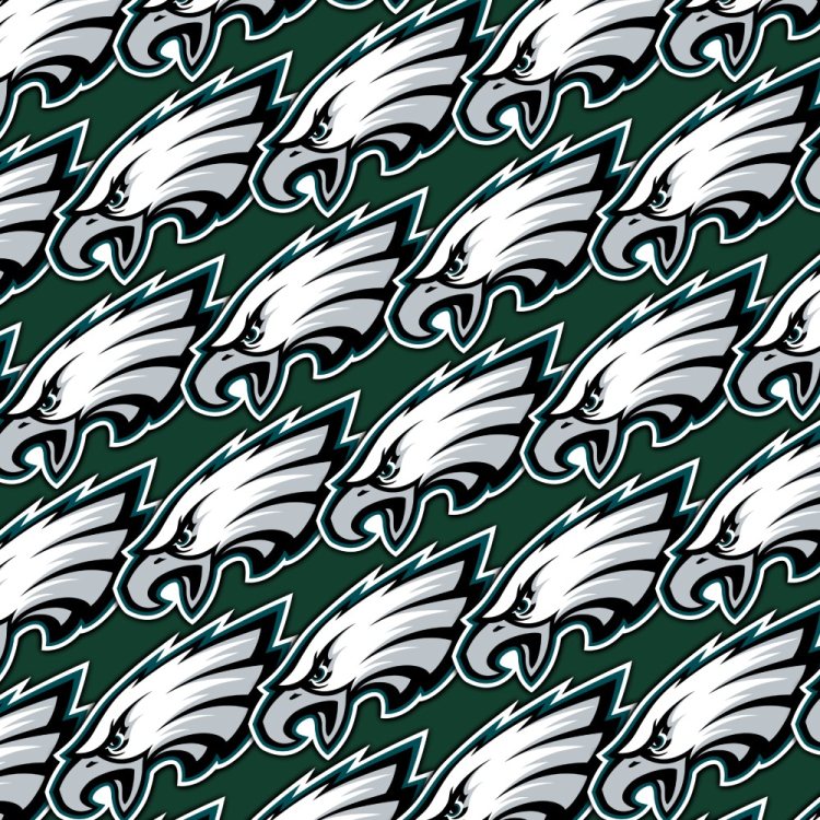 Philadelphia Eagles 24