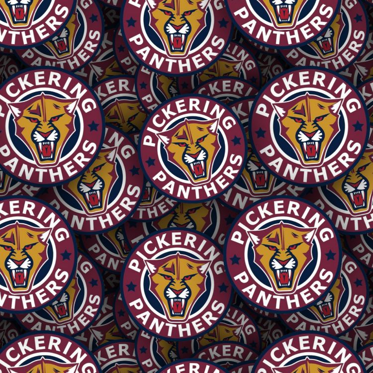 Pickering Panthers