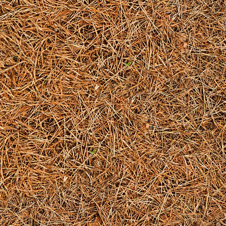 Pine Needles Camouflage