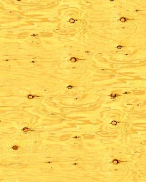 Pine Plywood