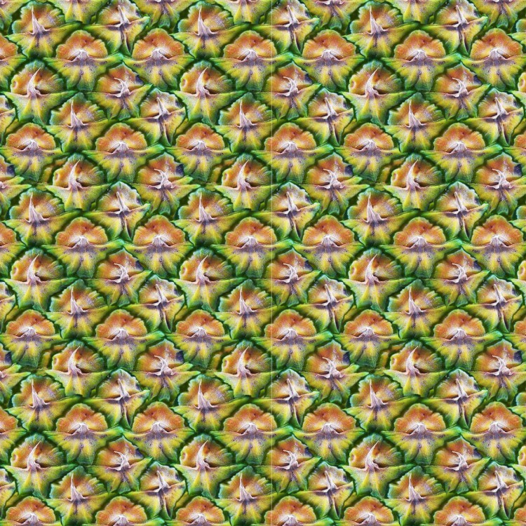 Pineapple Skin 22