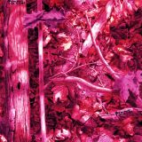 Pink-Camo-32