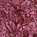 Pink-Camo-34-1