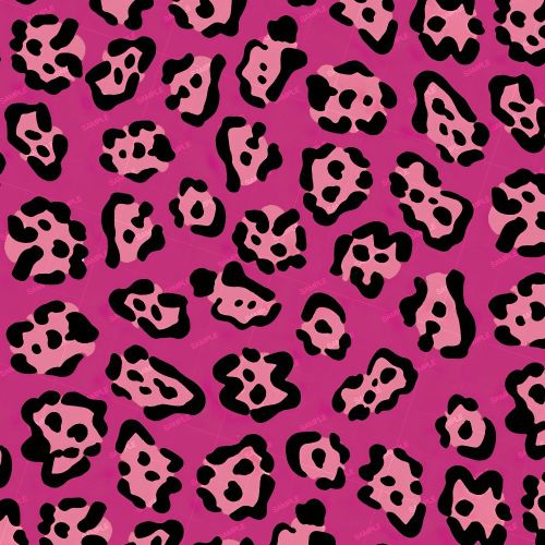 Pink Jaguar 23