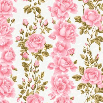 Pink Primrose Wallpaper 43