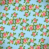 Pink-Roses-41