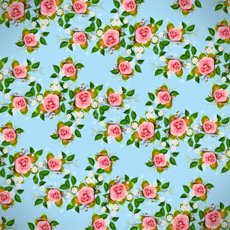 Pink Roses 41