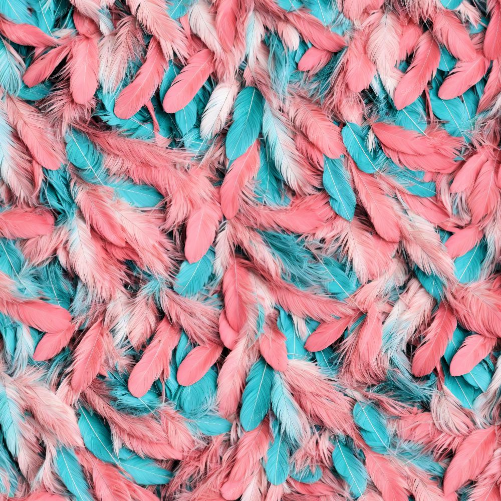 Pink and Cyan Feathers