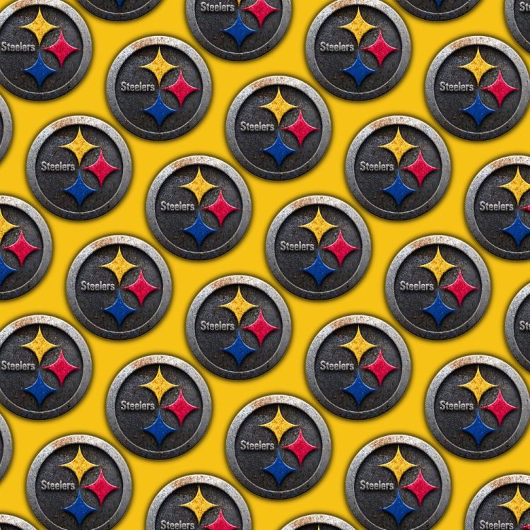 Pittsburgh Steelers 23