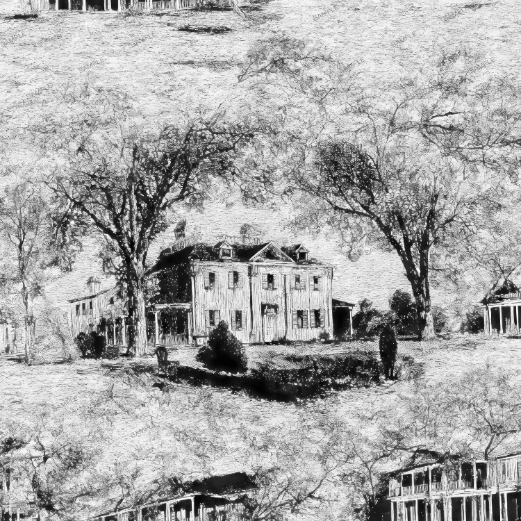 Plantation House 42