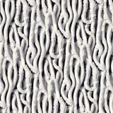 Plaster-Acanthus-Branching-Scrollwork