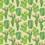 Plastic-Cactus.jpg