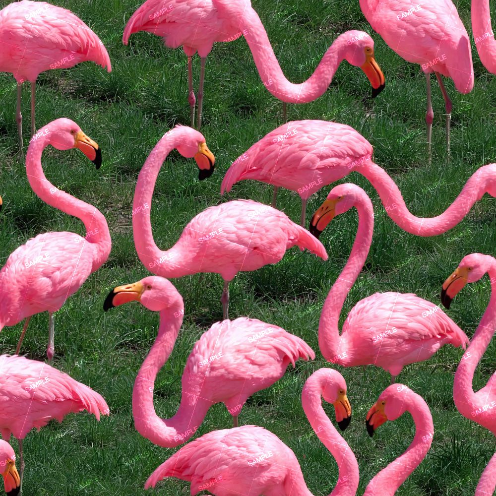 Plastic Yard Flamingos 44