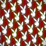 Playboy-28