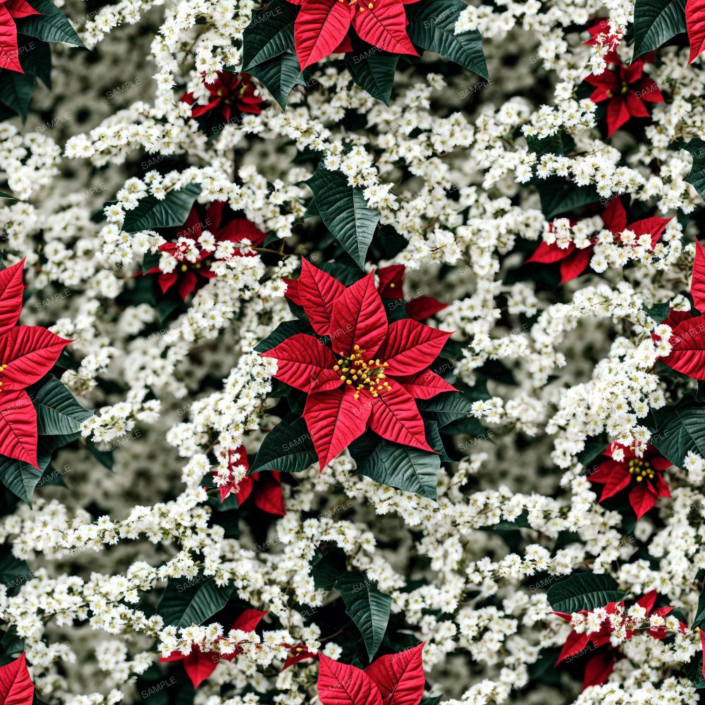 Poinsettia Christmas 42